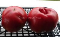 Belmonte (Бельмонте) 