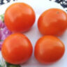 Orange Tree (Оранжевое Дерево)