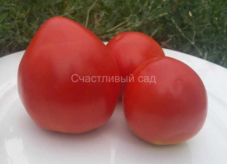 Минусинские лапти сердцевидные