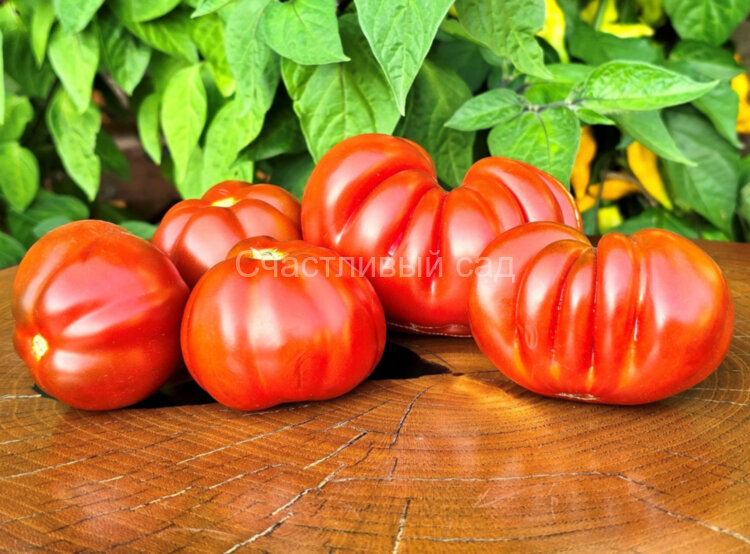 Fragole al Cioccolate (Шоколадная клубника)
