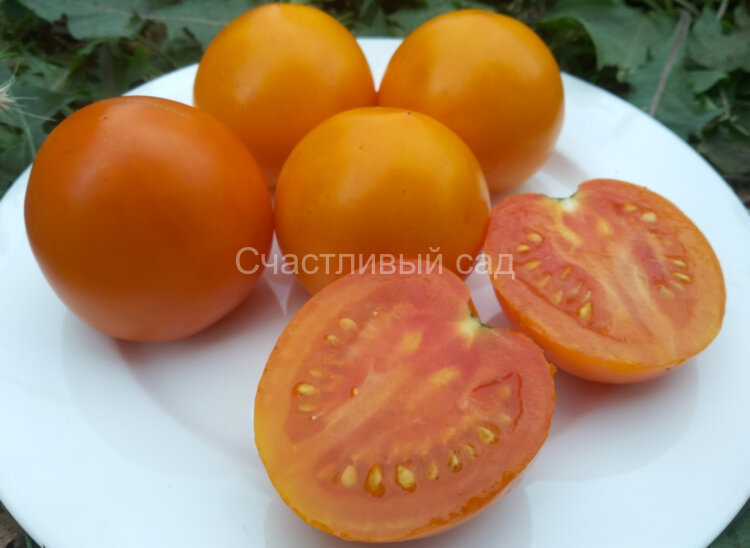 Персидская сказка