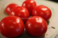 Ступике