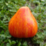 Stone brook heart dwarf (Гном сердце каменного ручья) Stone brook heart dwarf (Гном сердце каменного ручья)