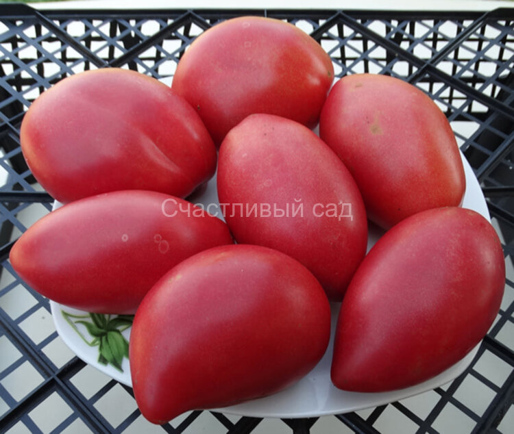 Sheboygan (Шебойган) Sheboygan (Шебойган)