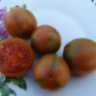 Evil Olive (Злая маслина) (Тип мультифлора)