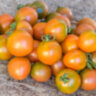 Evil Olive (Злая маслина) (Тип мультифлора)