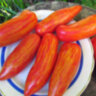 Dwarf Pepper like striped (Гном Перцевидный полосатый) Dwarf Pepper like striped (Гном Перцевидный полосатый)