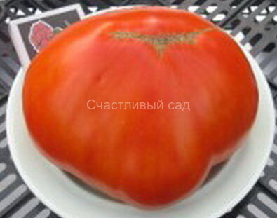 Рубиновые звёзды