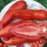 Abbattista paste (Паста Аббатиста) Abbattista paste (Паста Аббатиста)