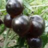 Blue Chocolate (Синий шоколад)