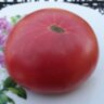 Brandywine From Croatia (Брэндивайн из Хорватии)