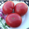 Willa’s Cariboo Rose (Роза Виллы Карибу)