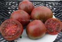 Гном Пёрф прайд (Dwarf Perth Pride, Гордость Перта)