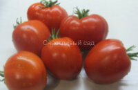 Барский