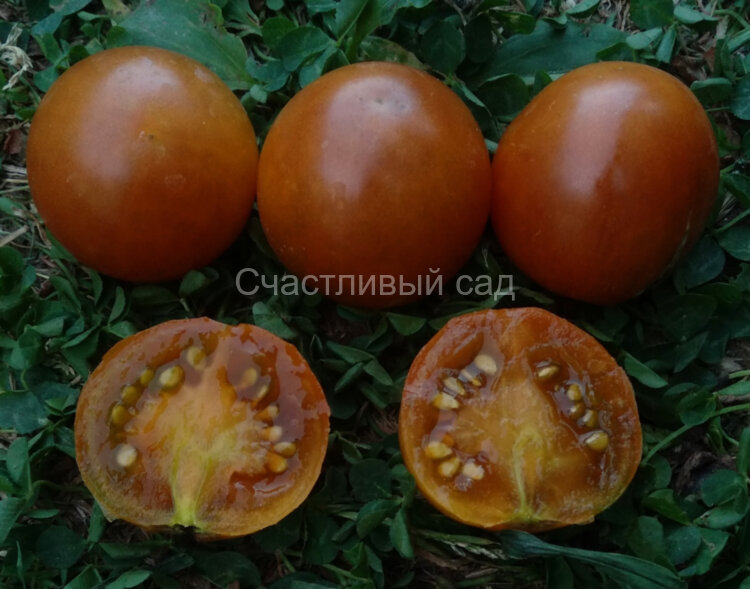 Dwarf Soul Patch (Гном Патч для души) Dwarf Soul Patch (Гном Патч для души)