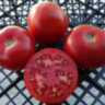 Hirten Tomate (Пастуший помидор)