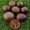 Chestnut Chocolate (Каштановый Шоколад)