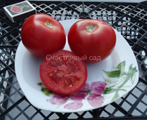 Атлант