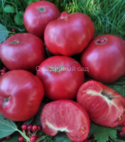 Barnes Mountain Pink (Розовая гора Берни)