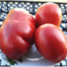 Red Pear Franchi (Красная груша Франчи)