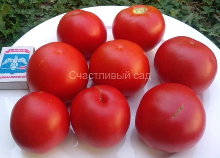 Минусинский урожайный