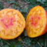 Pineapple Oxheart (Ананасное бычье сердце) Pineapple Oxheart (Ананасное бычье сердце)