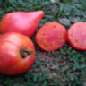 Pineapple Oxheart (Ананасное бычье сердце) Pineapple Oxheart (Ананасное бычье сердце)