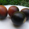 Mocha's Cherry Dwarf (Гном вишня Мокко, Гном черри Мокко)
