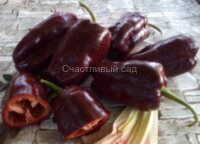 Перец Шоколадка