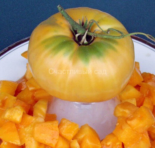 Dixie Golden Giant.jpg Dixie Golden Giant (Дикси золотой гигант)