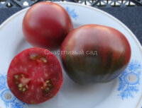 Evan's Purple Pear (Пурпурная груша Эванса)
