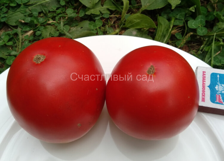О-ля-ля