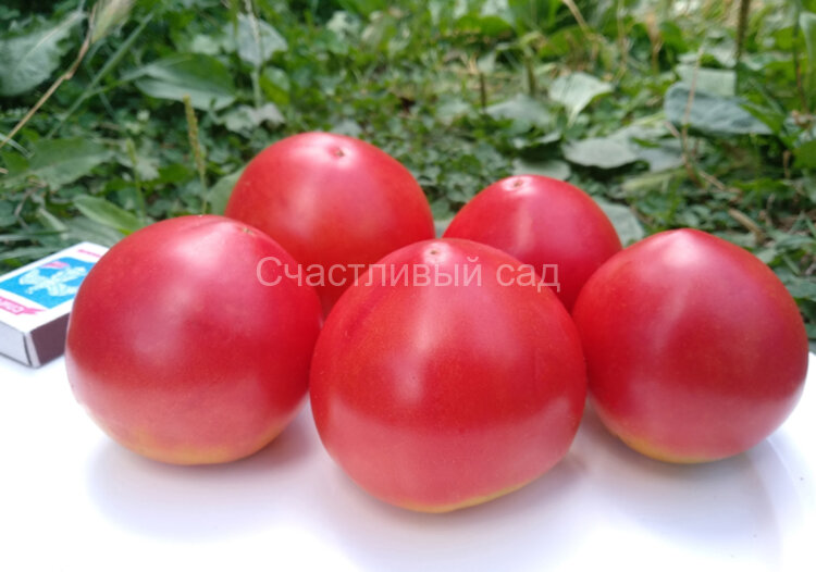 Сызранская ранняя любовь