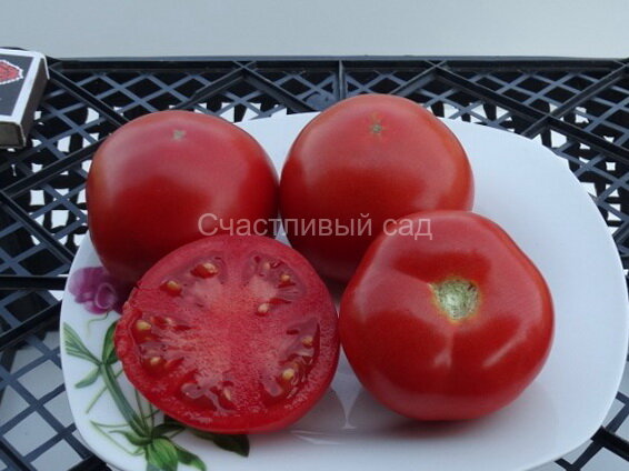 Властелин степей