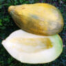 Дыня Банана (Banana)