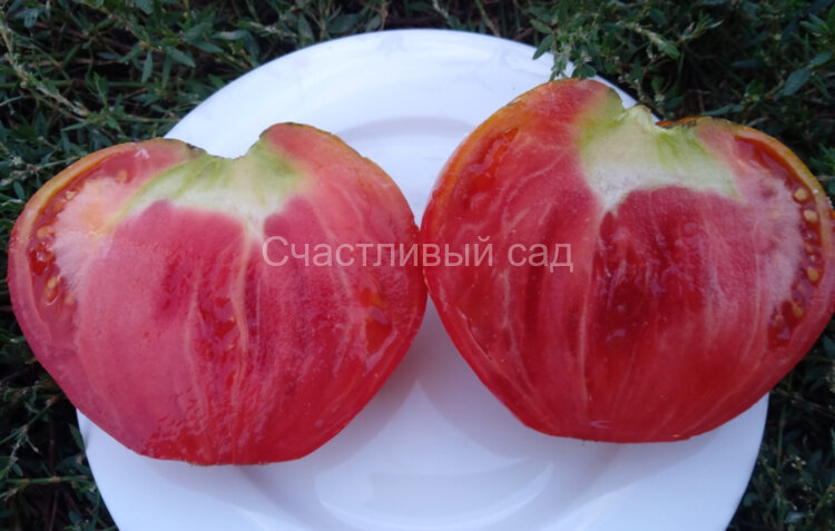Алёна люкс