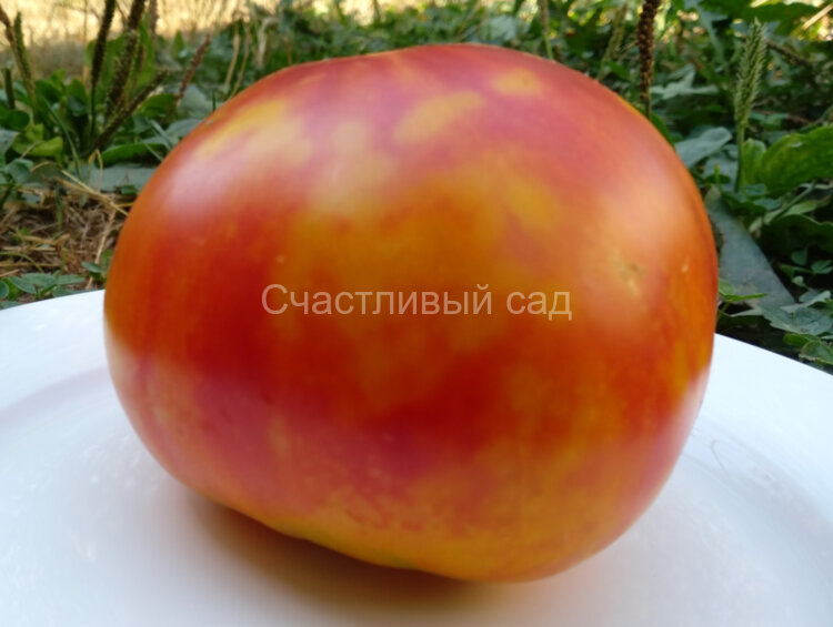 Red Yellow Heart (Красно-желтое сердце)