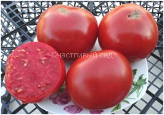 Розы Далласа