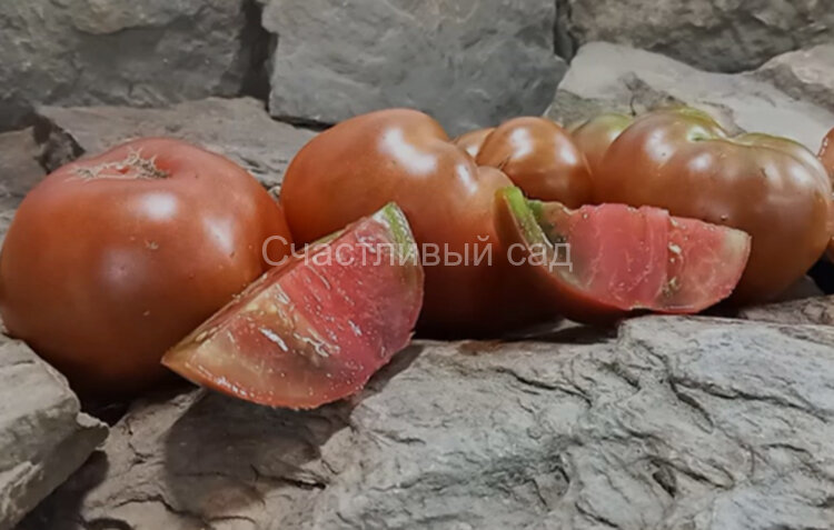 Dwarf Grandma’s Chocolate (Гном Бабушкин шоколад) Dwarf Grandma’s Chocolate (Гном Бабушкин шоколад)