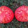 Karkiano (Каркиано)