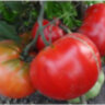 Marmande Garnier Rouge Big