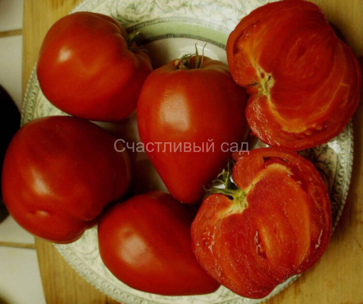 Reif Red Heart (Рейф красное сердце) 