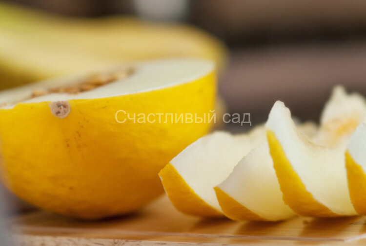 Дыня Длинная из Багдада