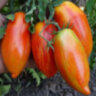 Marzano Fire (Огонь Марзано)