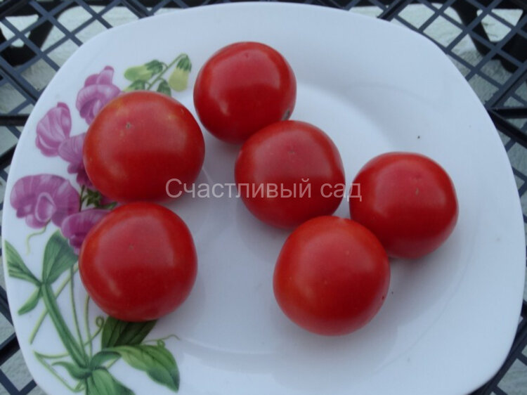 Капелла