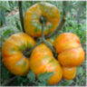 Tri-color (Трехцветный)