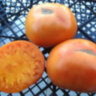 Apricot Brandywine (Абрикосовый Брэндивайн) Apricot Brandywine (Абрикосовый Брэндивайн)