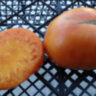 Apricot Brandywine (Абрикосовый Брэндивайн) Apricot Brandywine (Абрикосовый Брэндивайн)