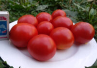 Ковбой