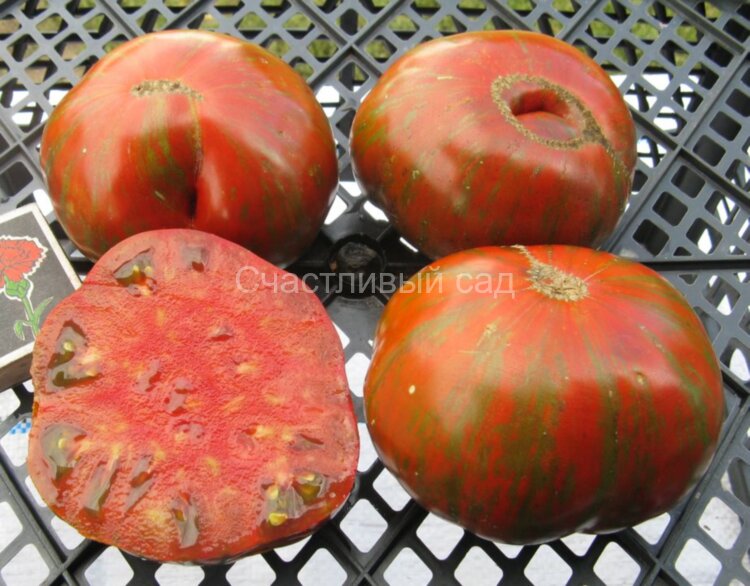Brown Flesh (Коричневая мякоть) Brown Flesh (Коричневая мякоть)